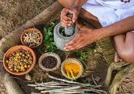 Plantes médicinales, racines et épices disposées dans des coupes, préparation traditionnelle en cours